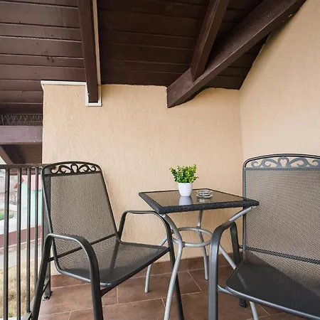 Guest house Vila Boutique Cluj-Napoca